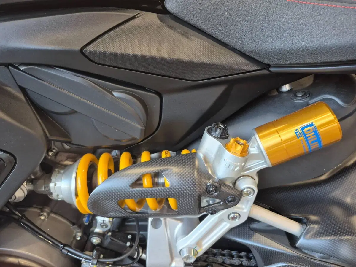Ducati Panigale V2 Superquadro Final Edition (2024) (6)