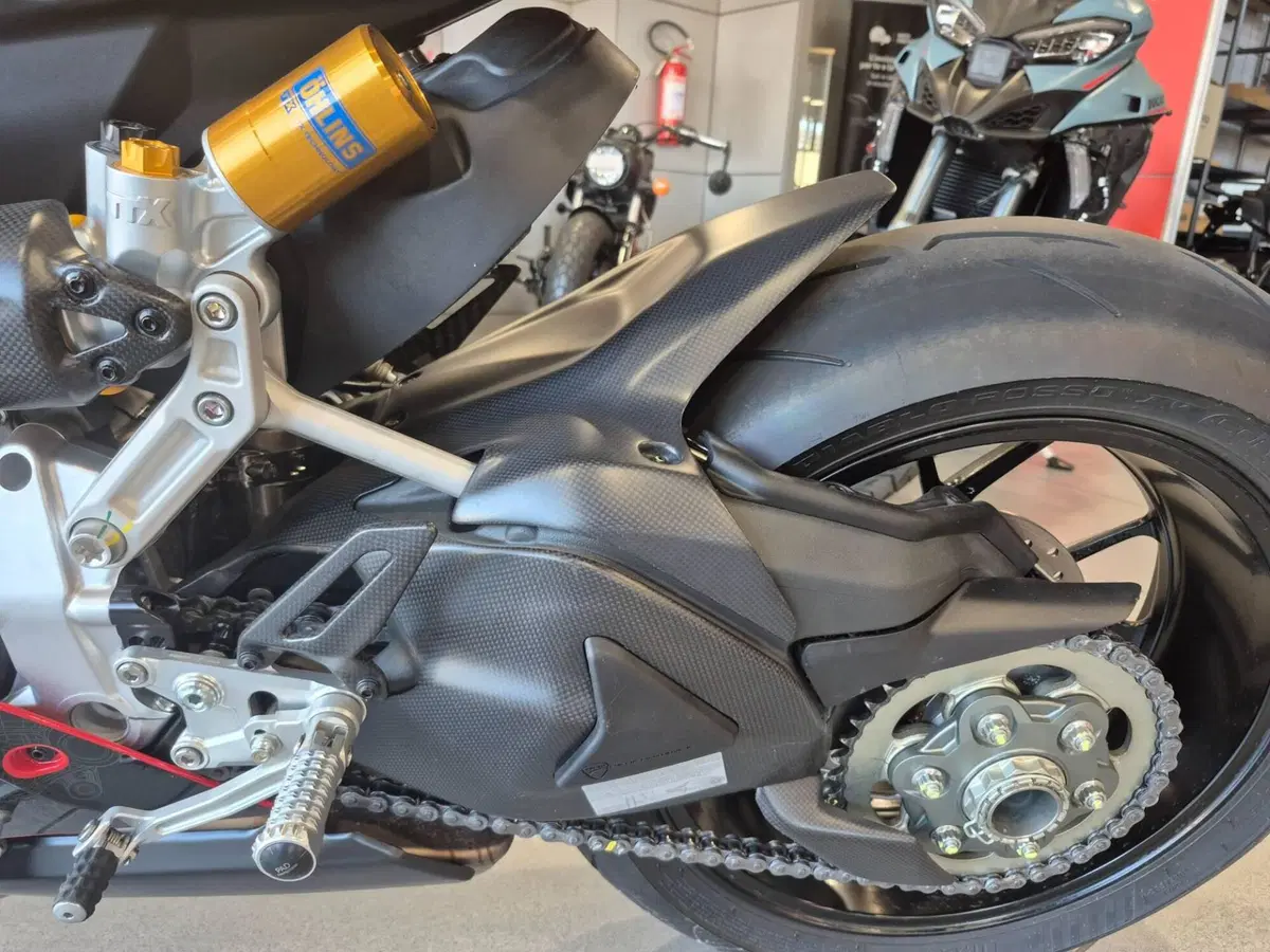 Ducati Panigale V2 Superquadro Final Edition (2024) (7)