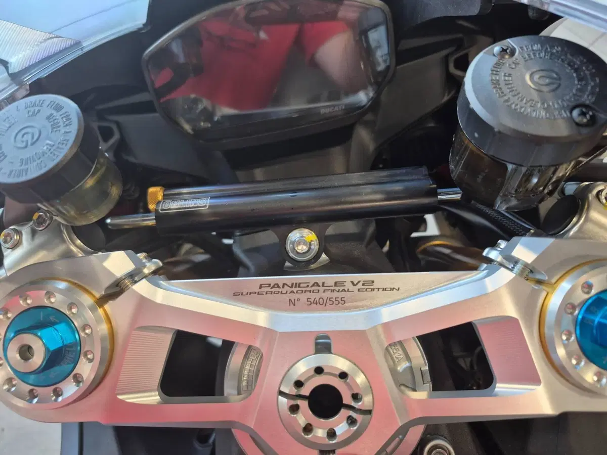 Ducati Panigale V2 Superquadro Final Edition (2024) (9)