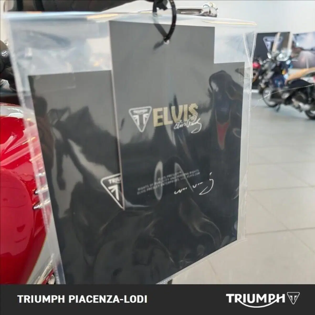 Triumph Bonneville T120 Elvis (2024 - 26) (11)