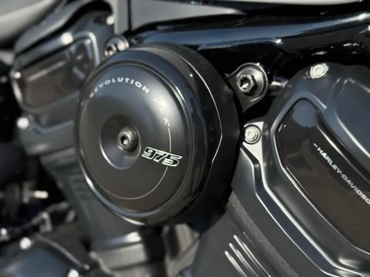 Harley-Davidson Nightster Special (2023 - 26) (3)