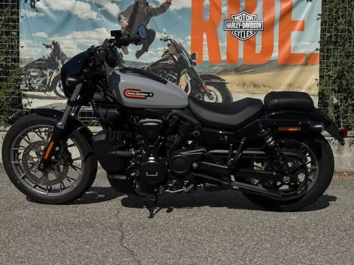 Harley-Davidson Nightster Special (2023 - 26) (7)