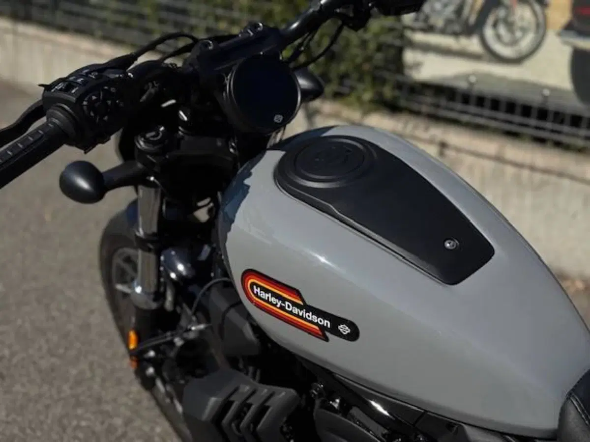 Harley-Davidson Nightster Special (2023 - 26) (10)