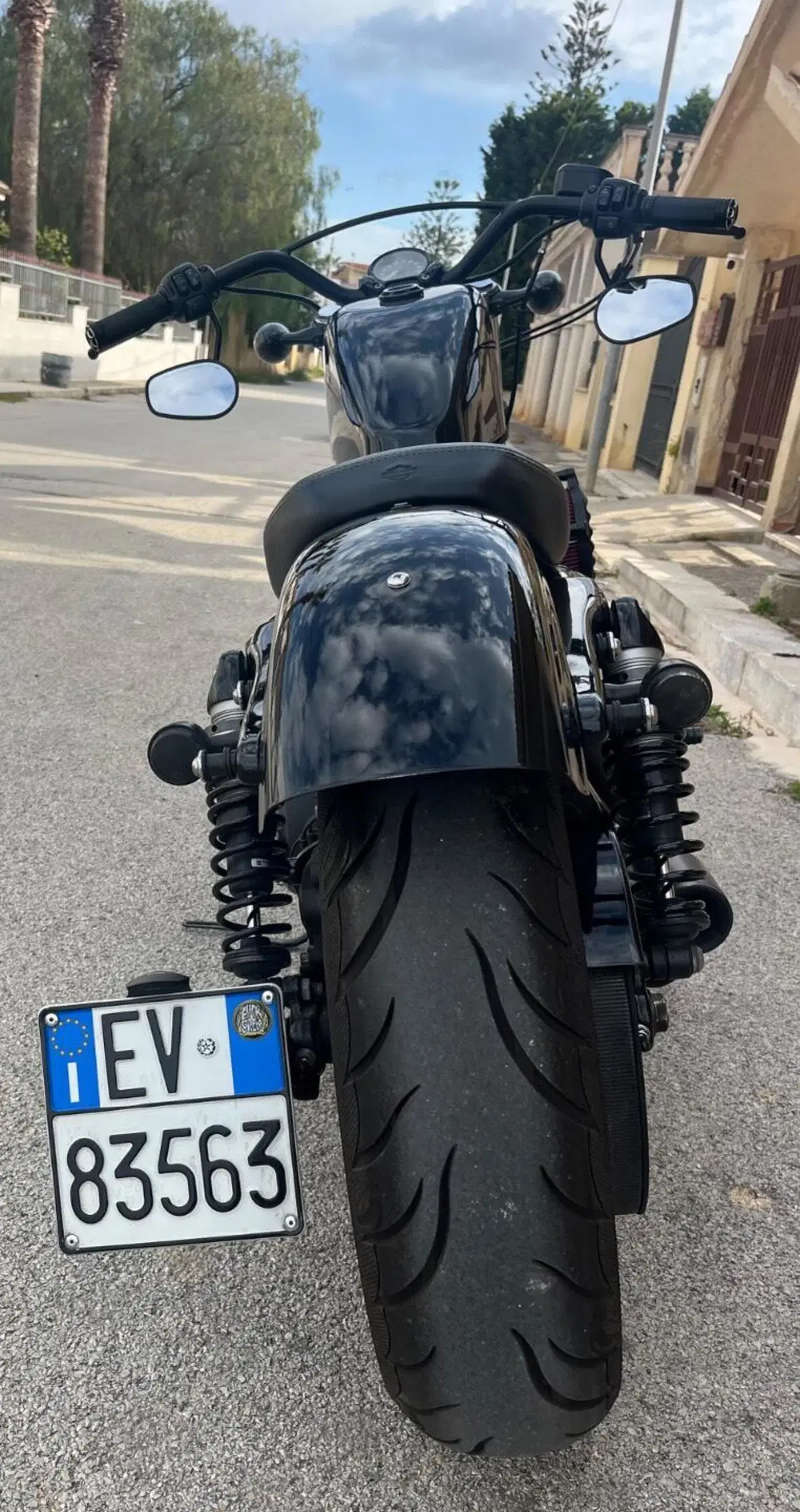 Harley-Davidson 1200 Forty-Eight Special (2018 - 20) (6)