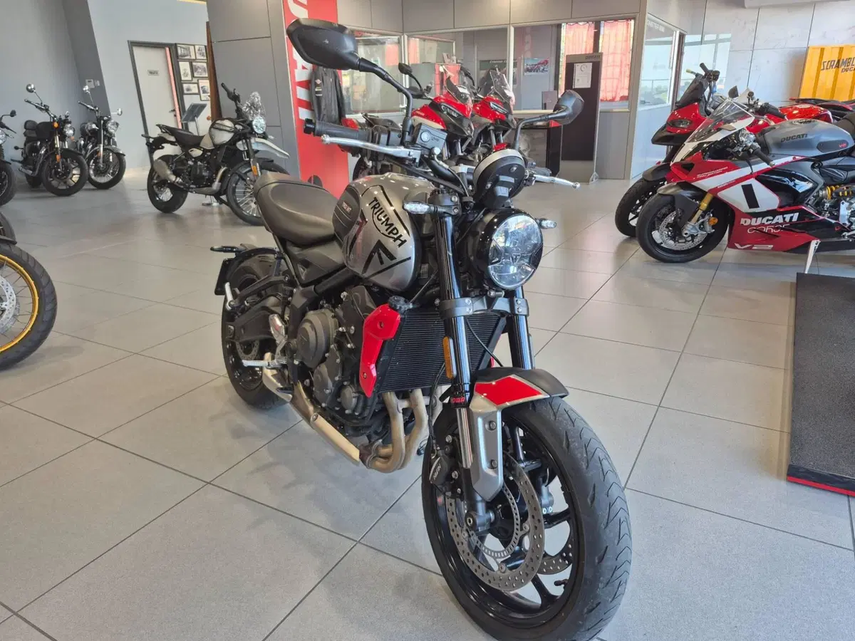 Triumph Trident 660 (2021 - 24) (2)