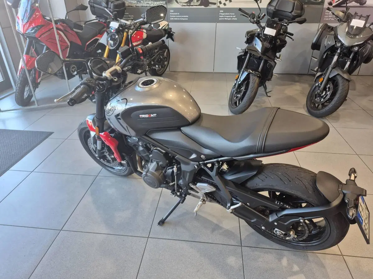 Triumph Trident 660 (2021 - 24) (5)