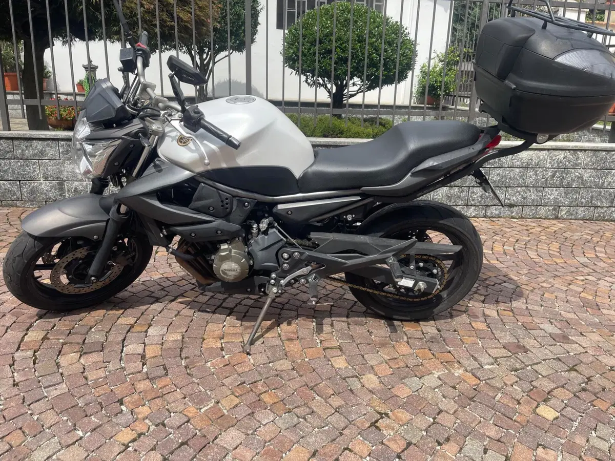 Yamaha XJ6 (2008 - 15) (6)