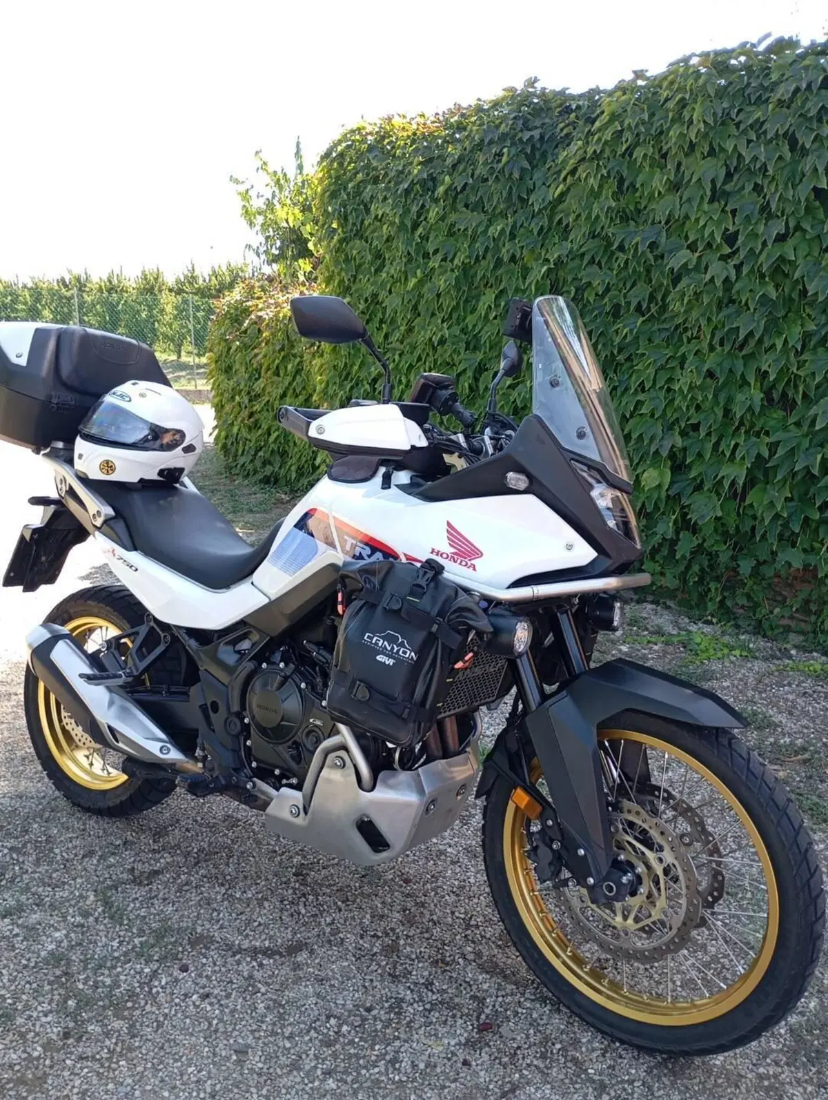 Honda Transalp XL750 (2023 - 24) (6)