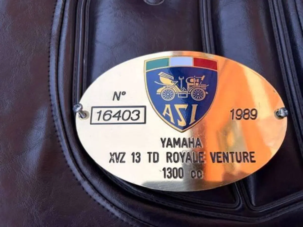 Yamaha Venture Royale xvz 13 td (6)