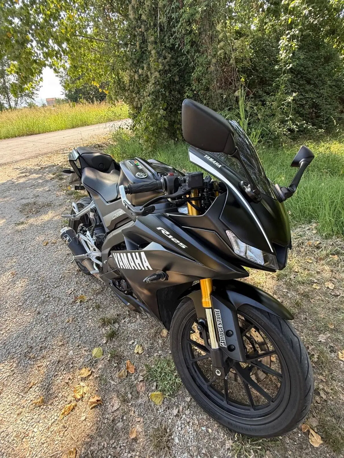 Yamaha YZF R125 (2021 - 22) (2)