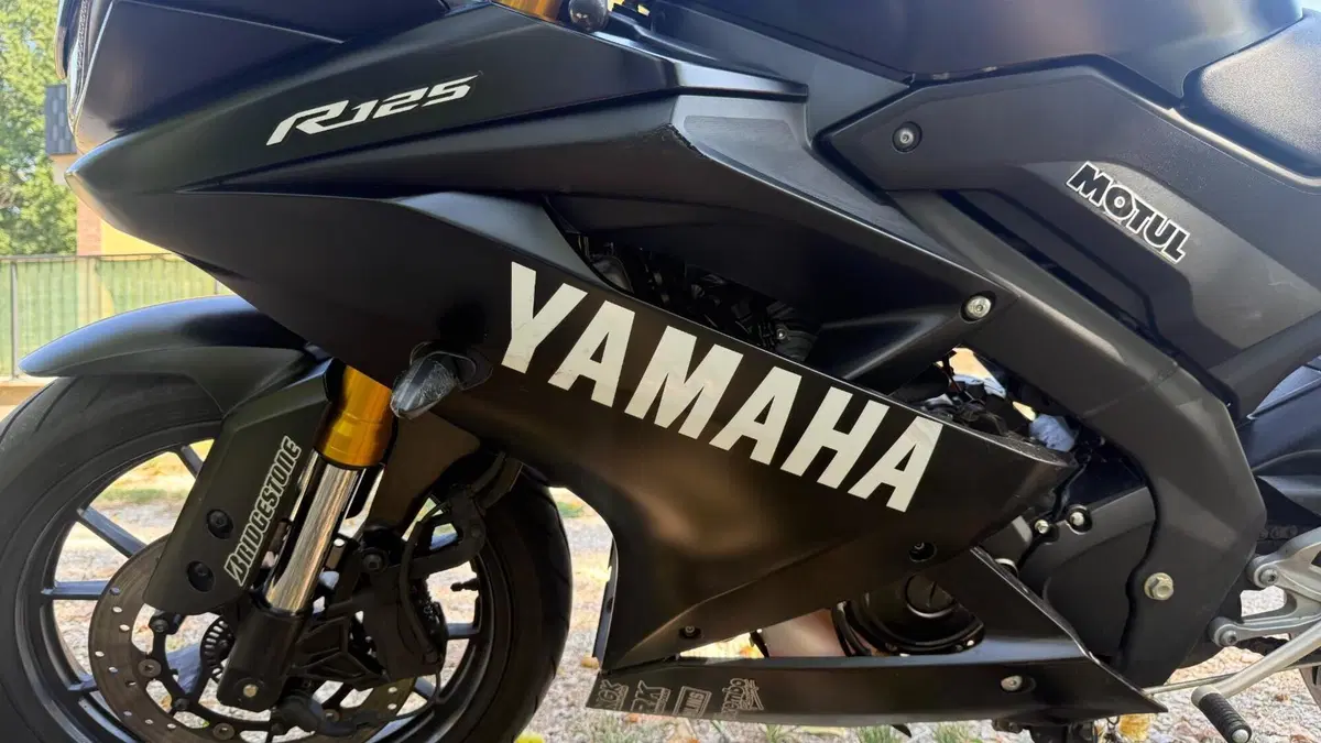 Yamaha YZF R125 (2021 - 22) (8)