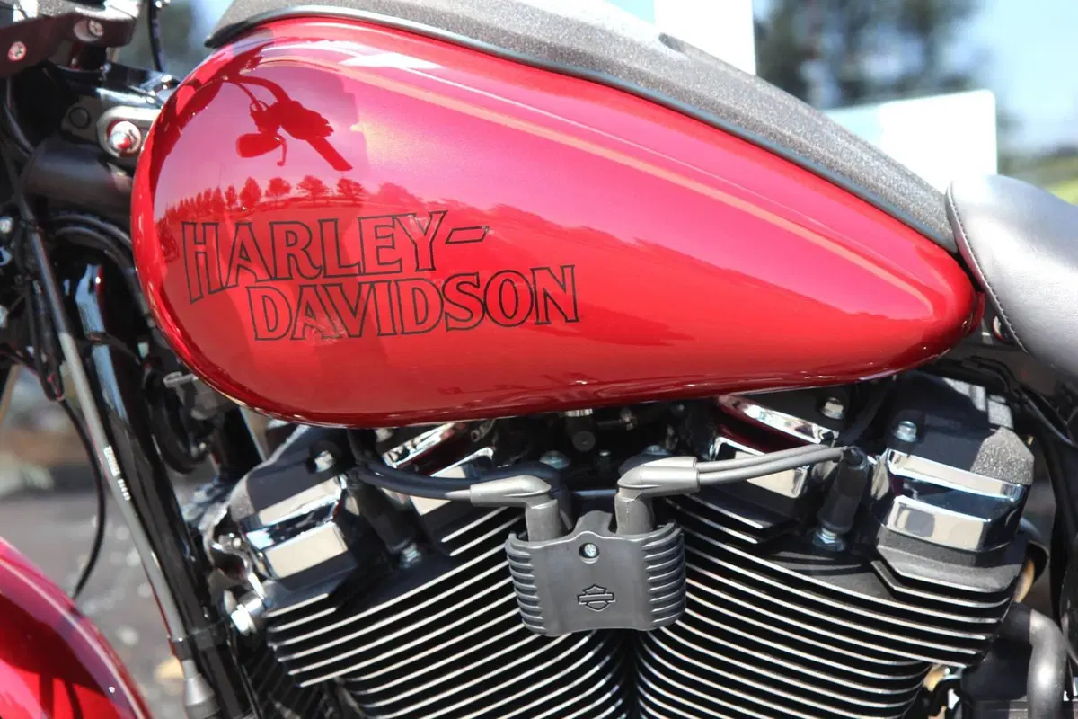 Harley-Davidson Low Rider S (2025 - 26) (12)