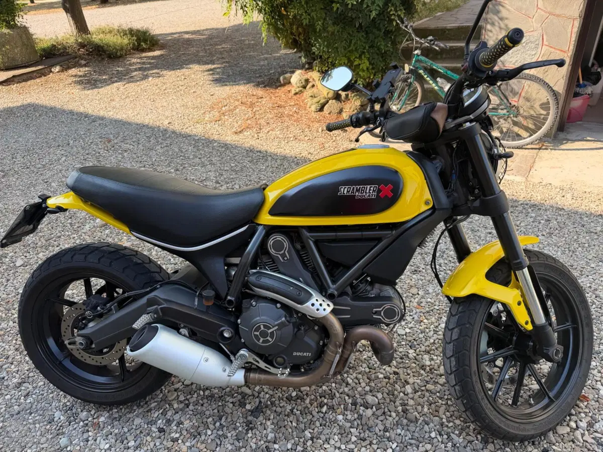 Ducati Scrambler 800 Classic (2015 - 16) (7)