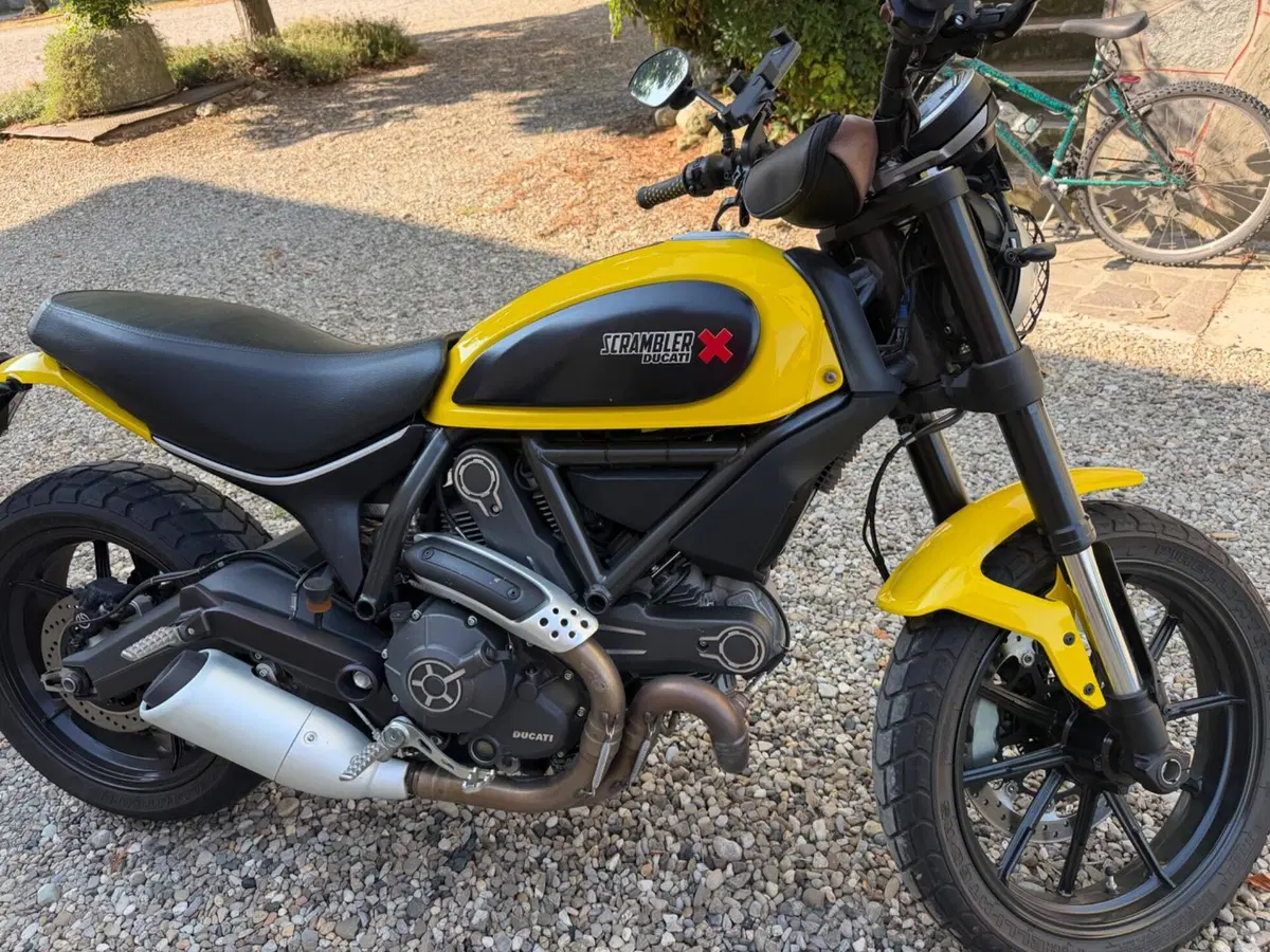 Ducati Scrambler 800 Classic (2015 - 16) (11)