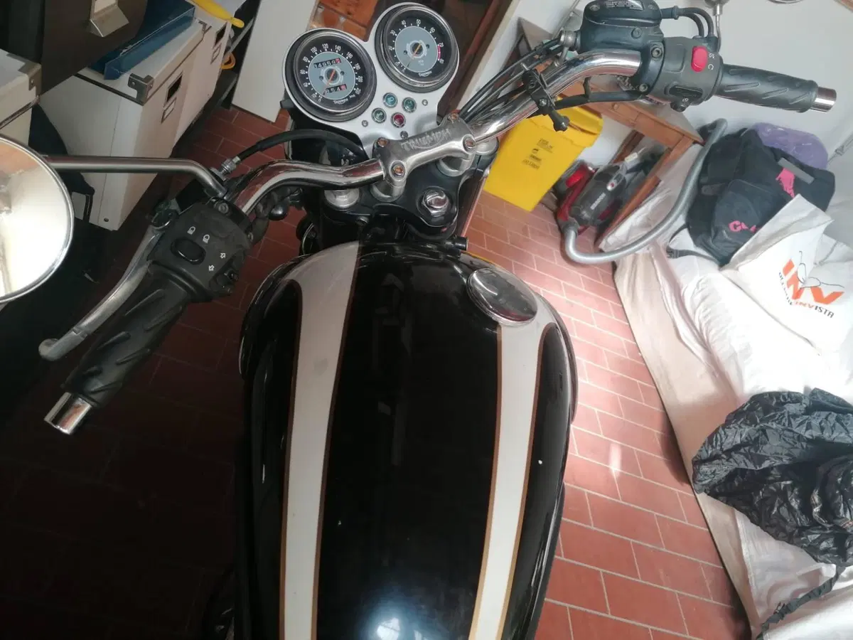 Triumph Bonneville T100 (2001 - 07) (4)