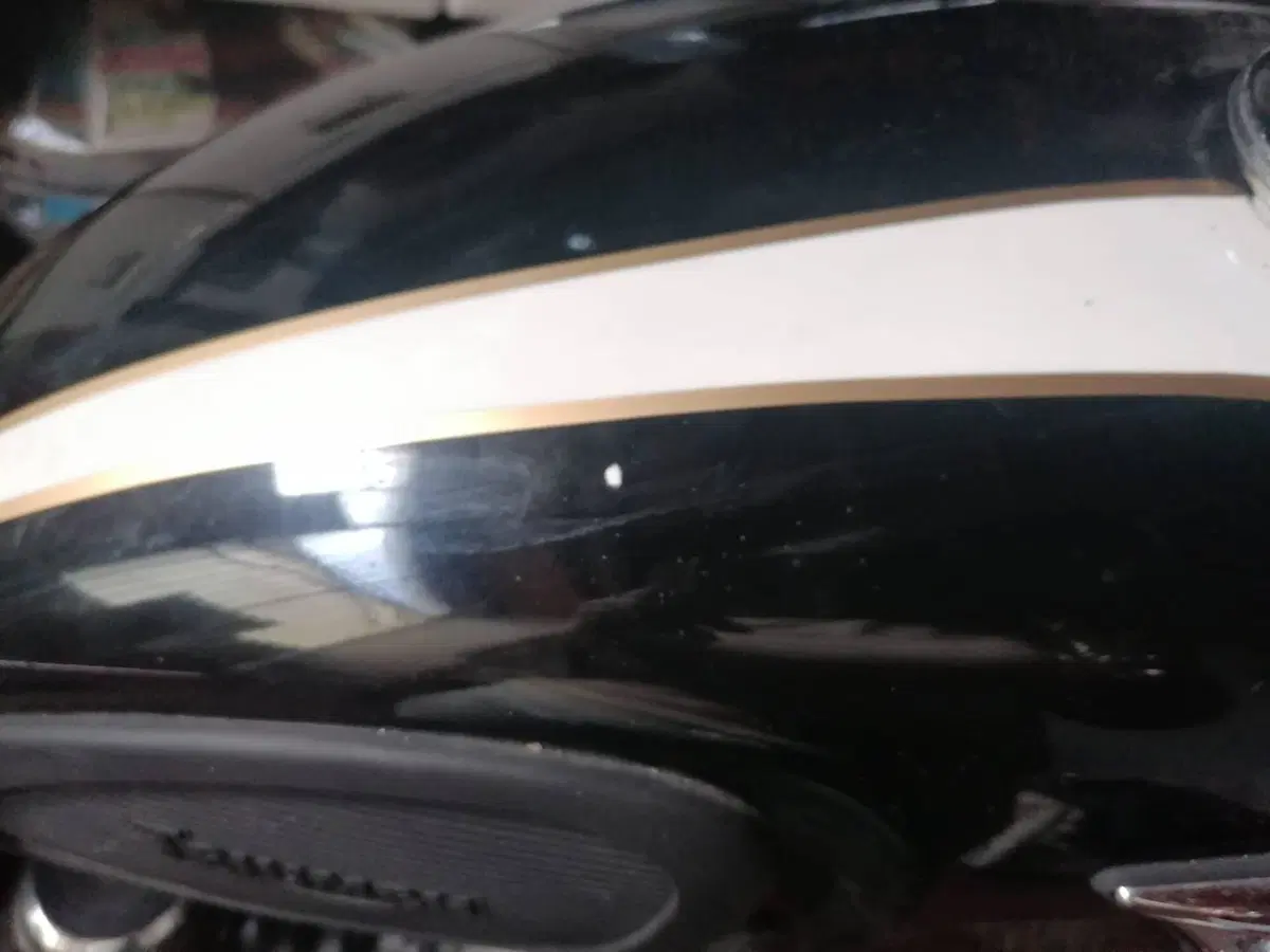 Triumph Bonneville T100 (2001 - 07) (5)