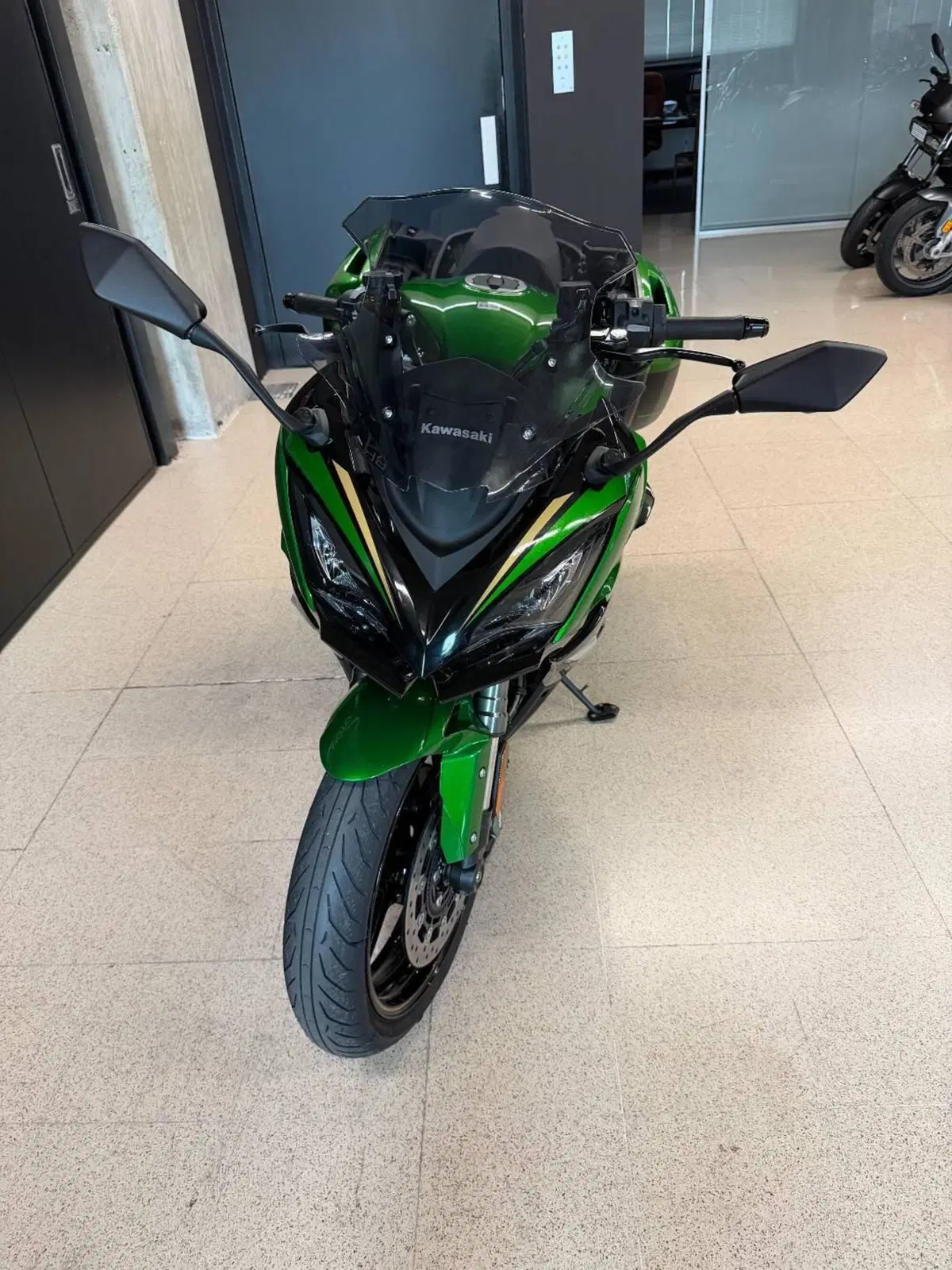 Kawasaki Ninja 1100 SX SE (2025 - 26) (2)