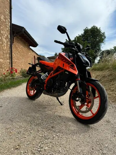 KTM 390 Duke (2024 - 25) usata