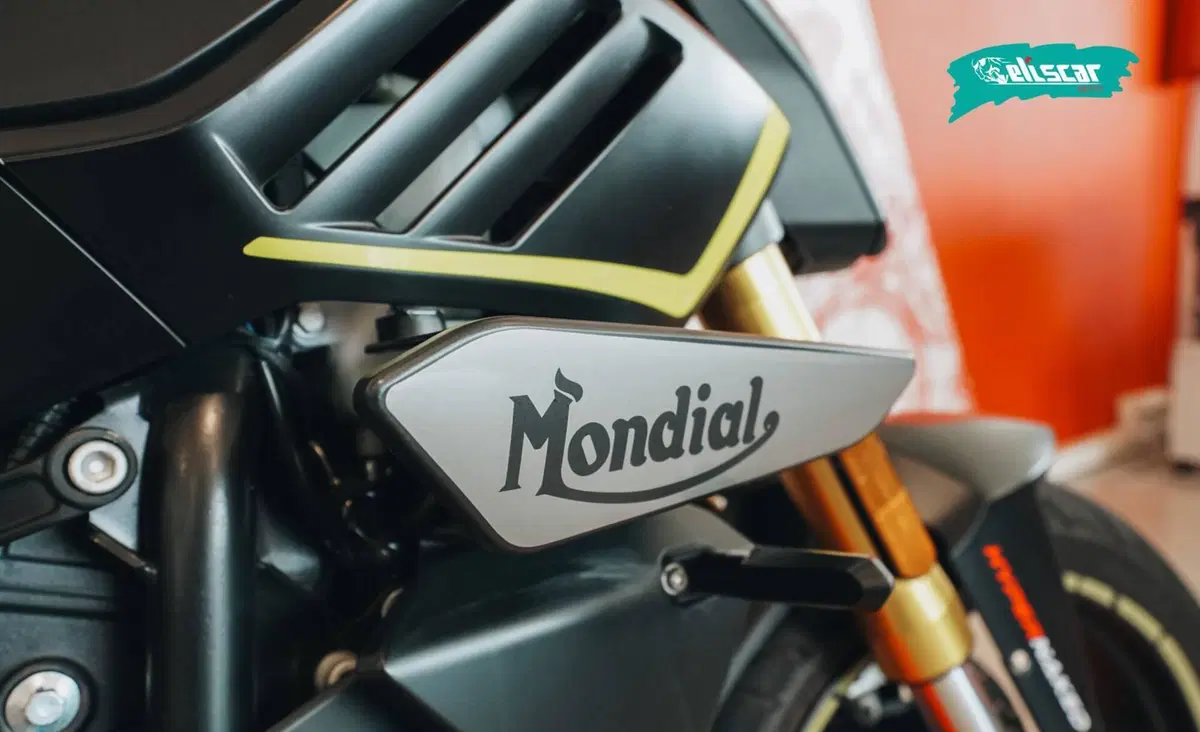 FB Mondial Piega 452 (2025 - 26) (9)