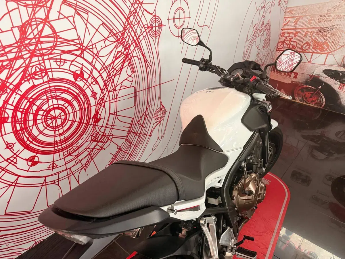 Honda CB 650 F (2017 - 18) (5)