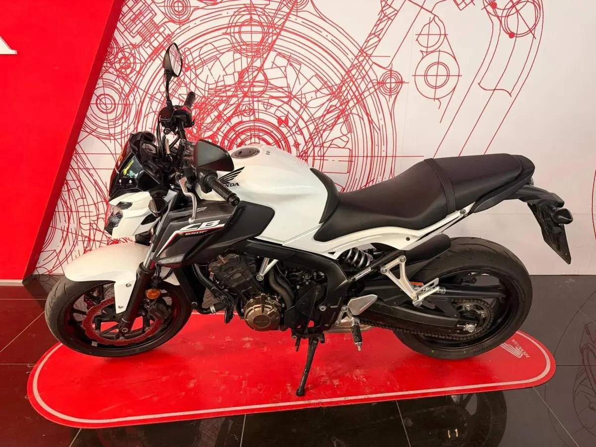 Honda CB 650 F (2017 - 18) (7)