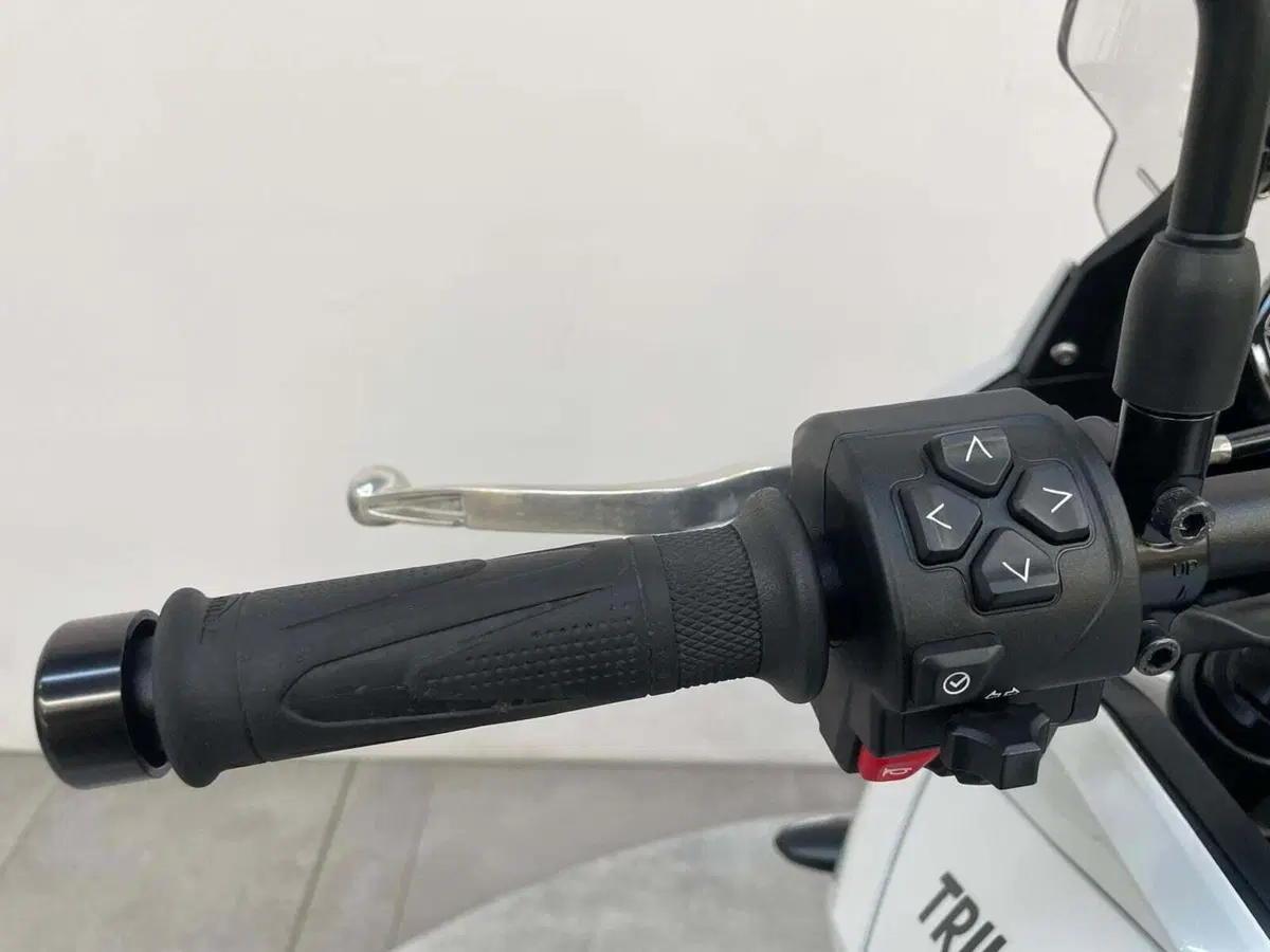 Triumph Tiger Sport 660 (2022 - 24) (10)