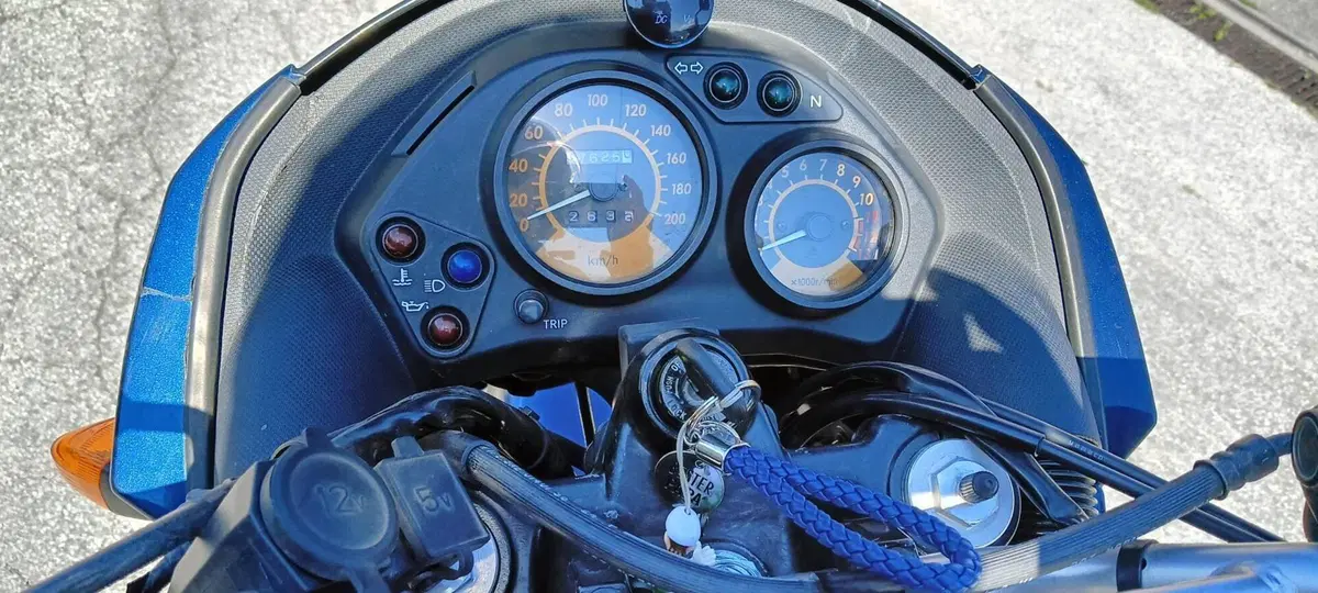 Kawasaki KLE 500 (2005 - 06) (8)