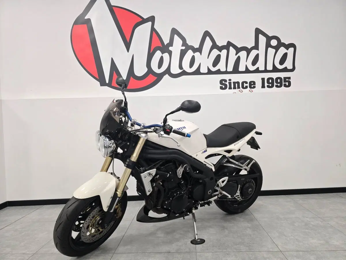 Triumph Speed Triple 1050 (2005 - 11) (3)