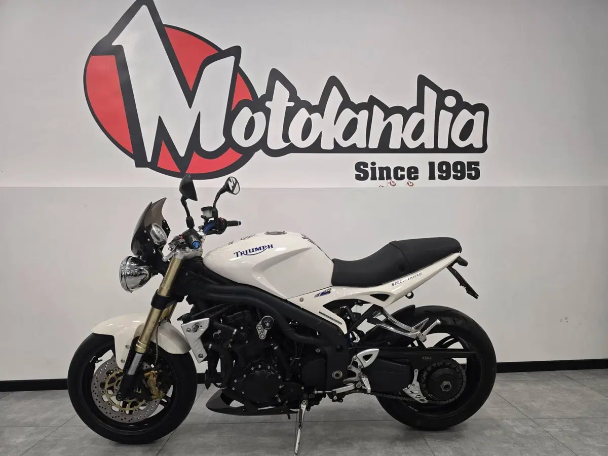 Triumph Speed Triple 1050 (2005 - 11) (2)