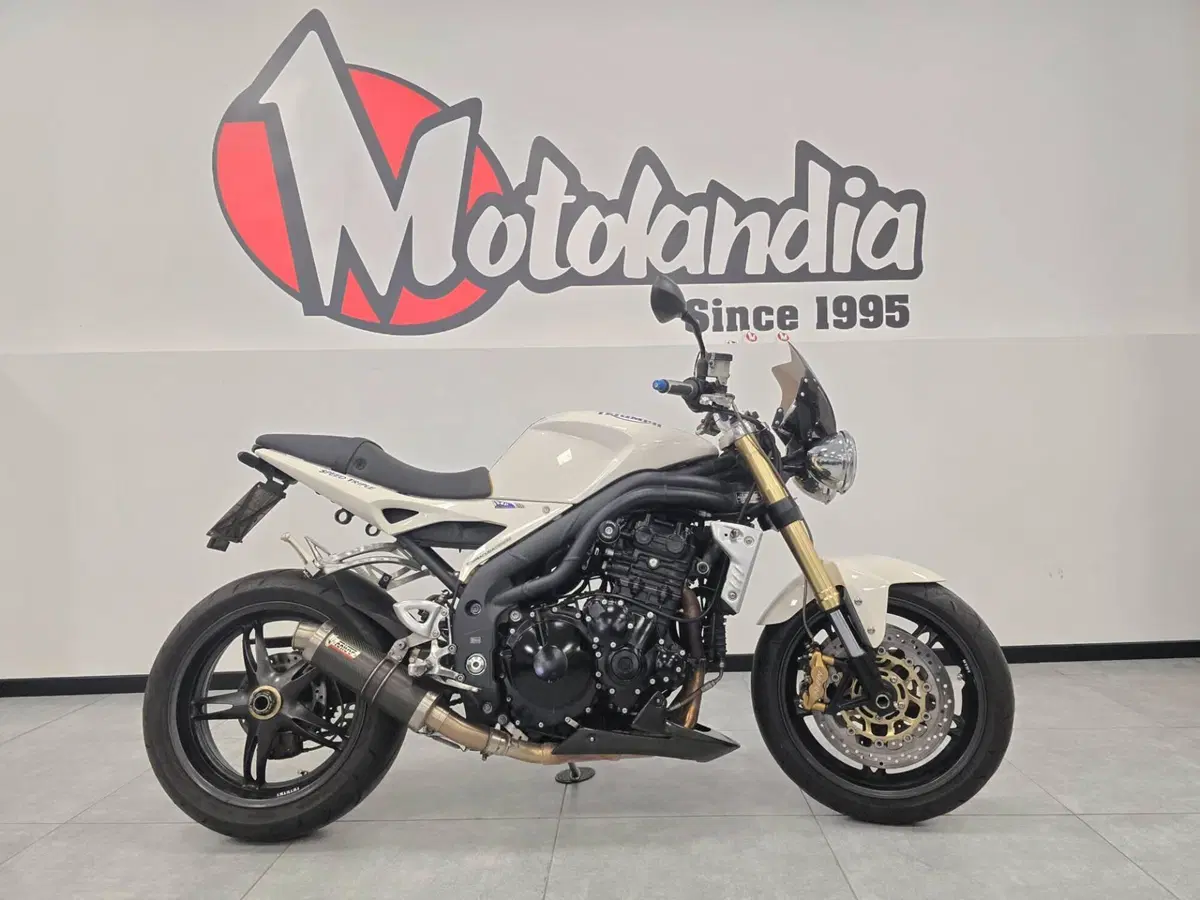 Triumph Speed Triple 1050 (2005 - 11)