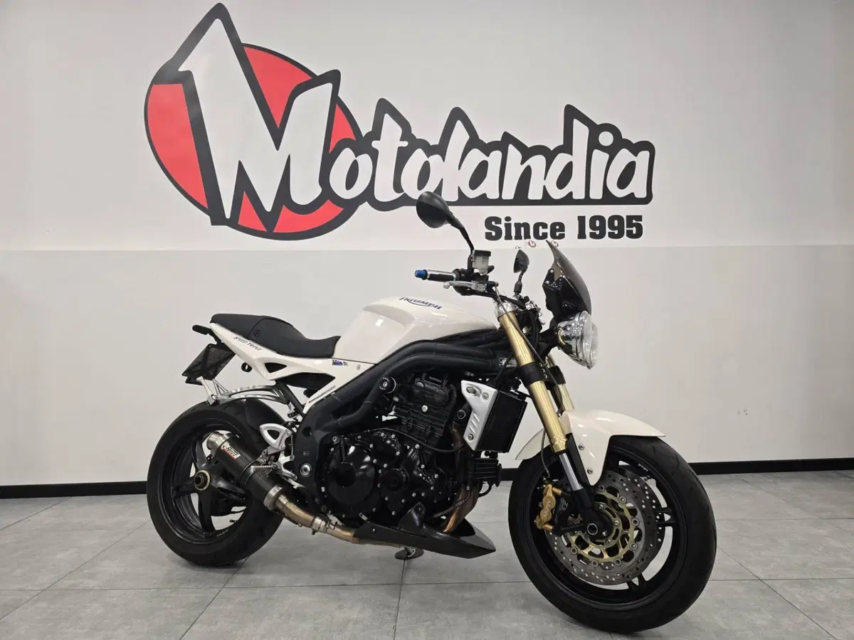 Triumph Speed Triple 1050 (2005 - 11) (4)