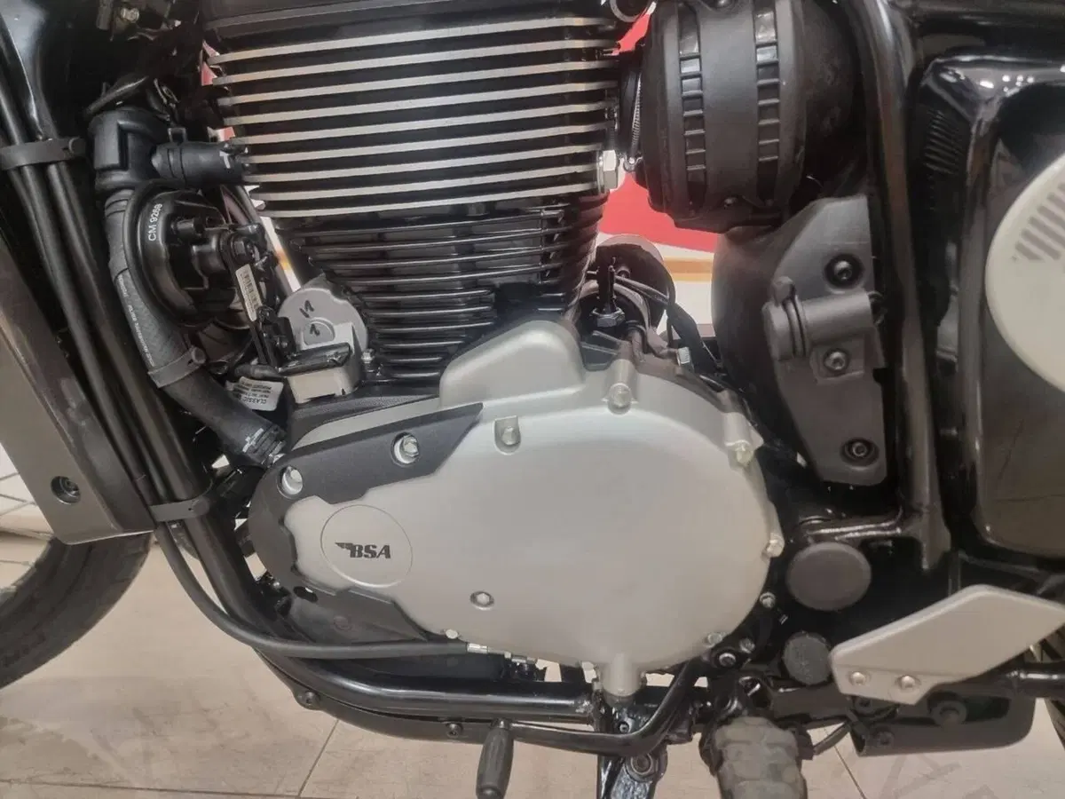 Bsa Scrambler 650 (2025 - 26) (5)