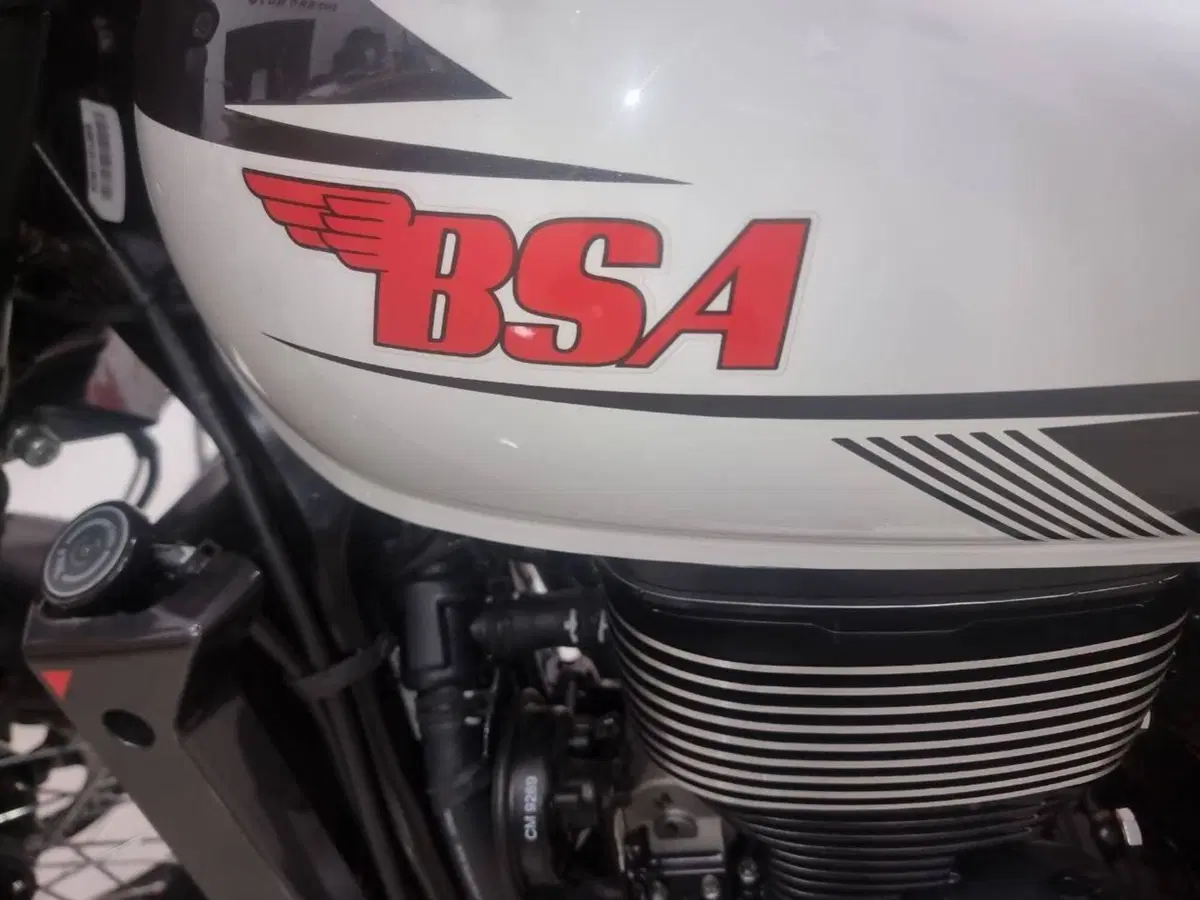 Bsa Scrambler 650 (2025 - 26) (6)