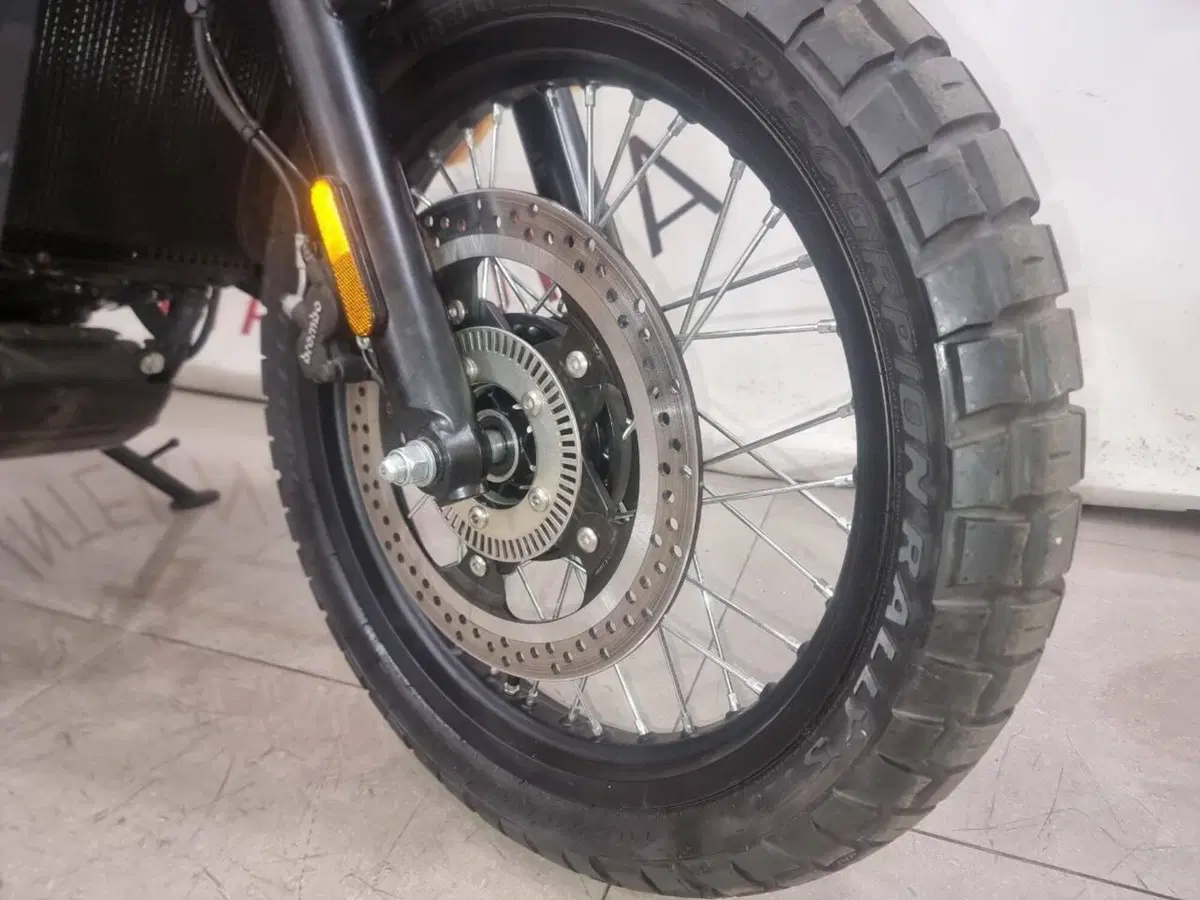 Bsa Scrambler 650 (2025 - 26) (10)