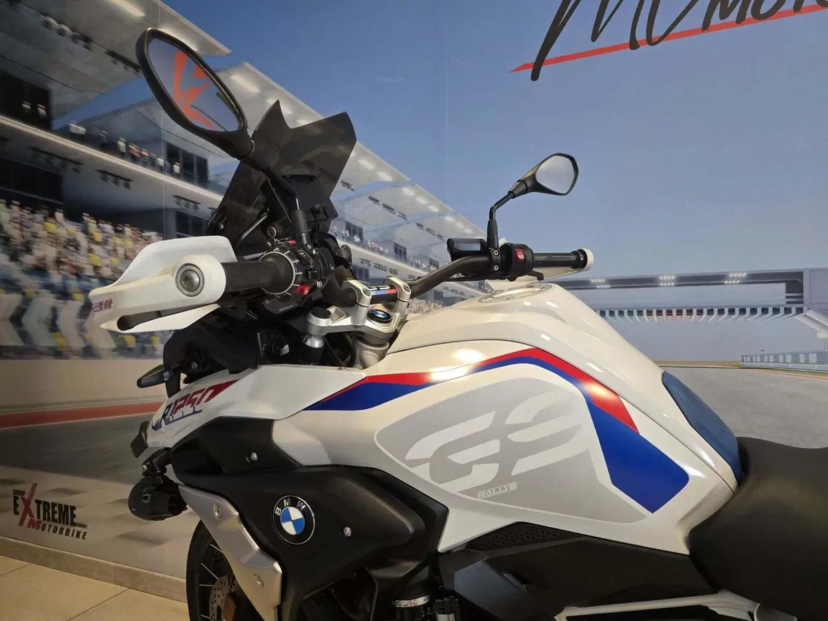 Bmw R 1250 GS (2021 - 24) (11)