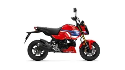 Honda MSX 125 Grom (2021 - 26) nuova