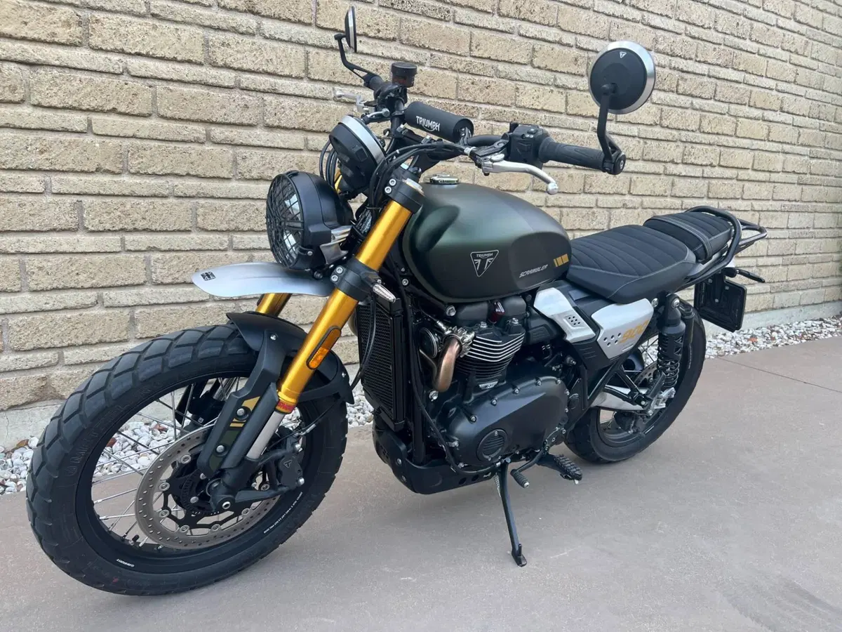 Triumph Scrambler 900 (2026) (8)