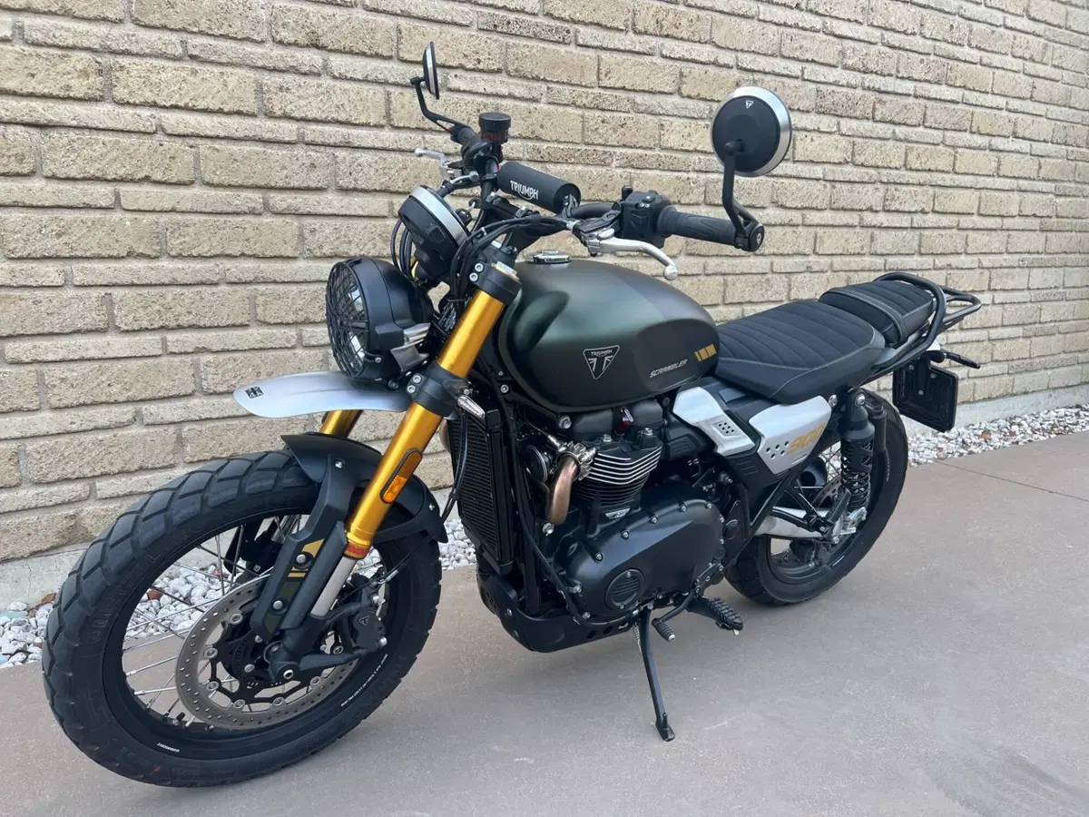 Triumph Scrambler 900 (2026) (10)