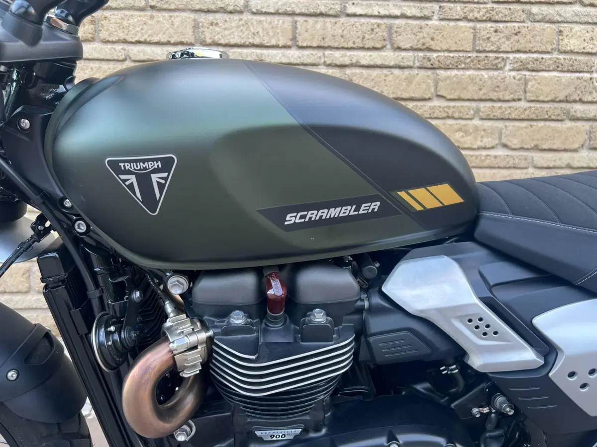 Triumph Scrambler 900 (2026) (11)