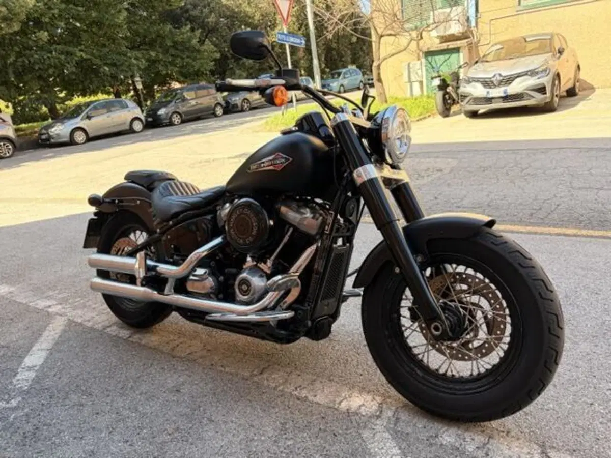 Harley-Davidson 107 Slim (2018 - 20) - FLSL (3)