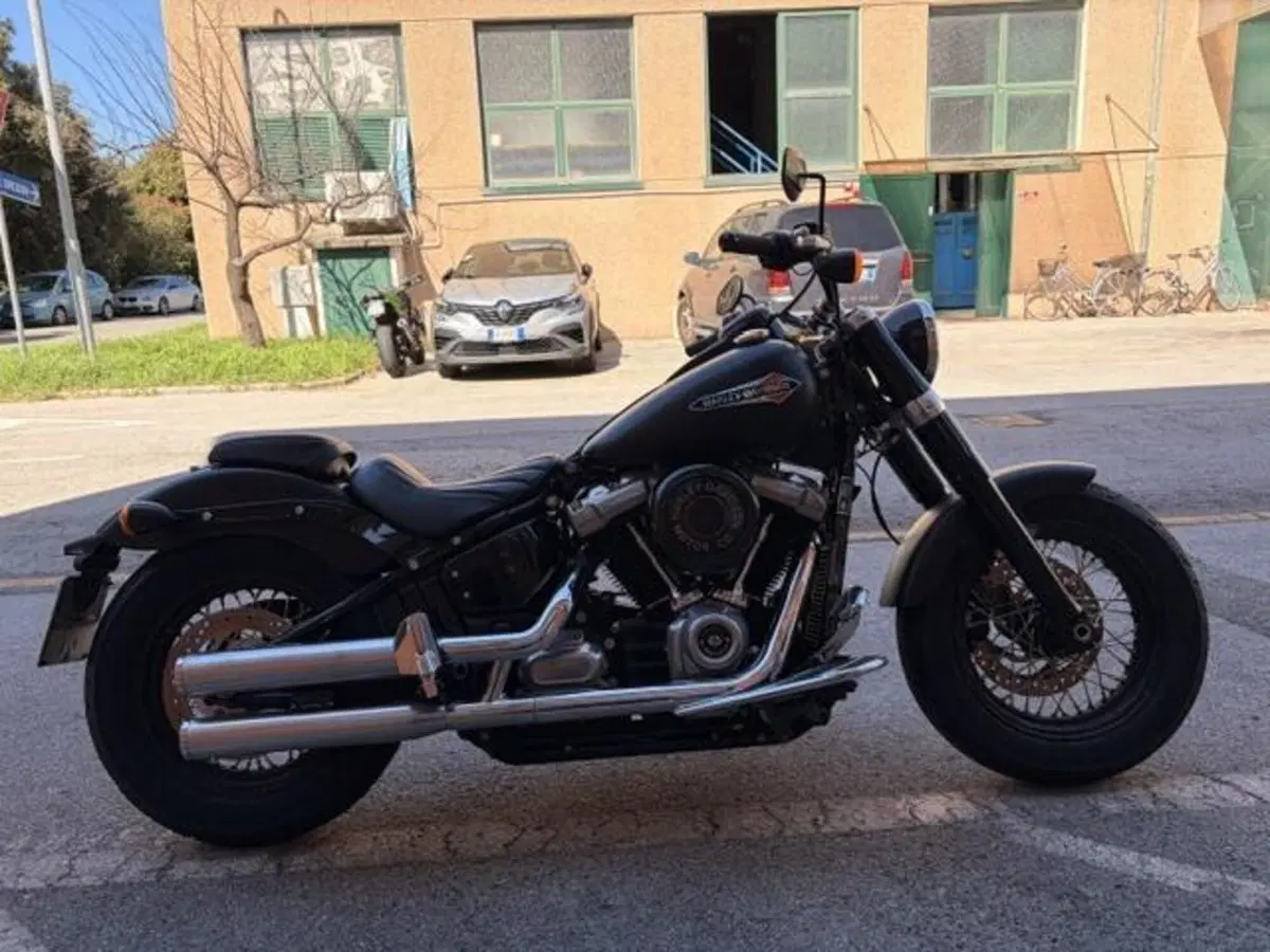 Harley-Davidson 107 Slim (2018 - 20) - FLSL (4)