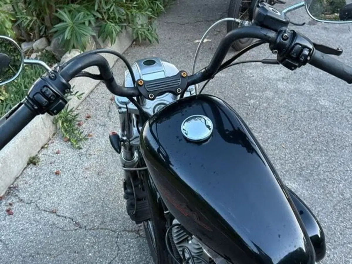 Harley-Davidson 883 (2008 - 09) - XL (2)