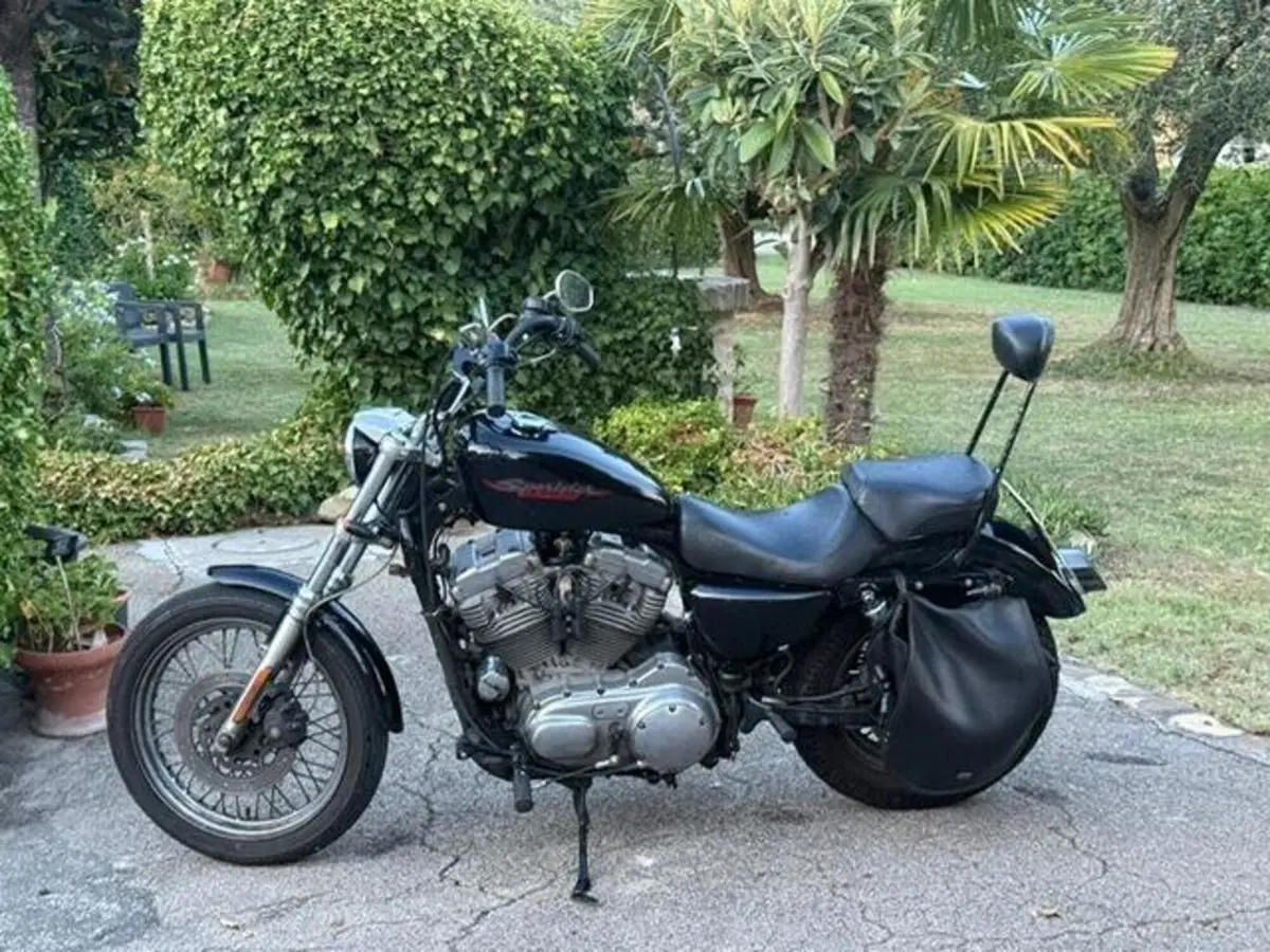 Harley-Davidson 883 (2008 - 09) - XL (3)
