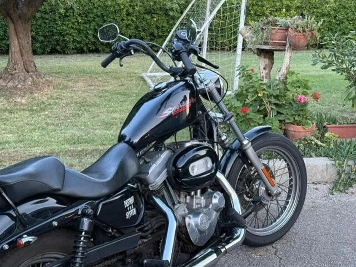 Harley-Davidson 883 (2008 - 09) - XL (4)