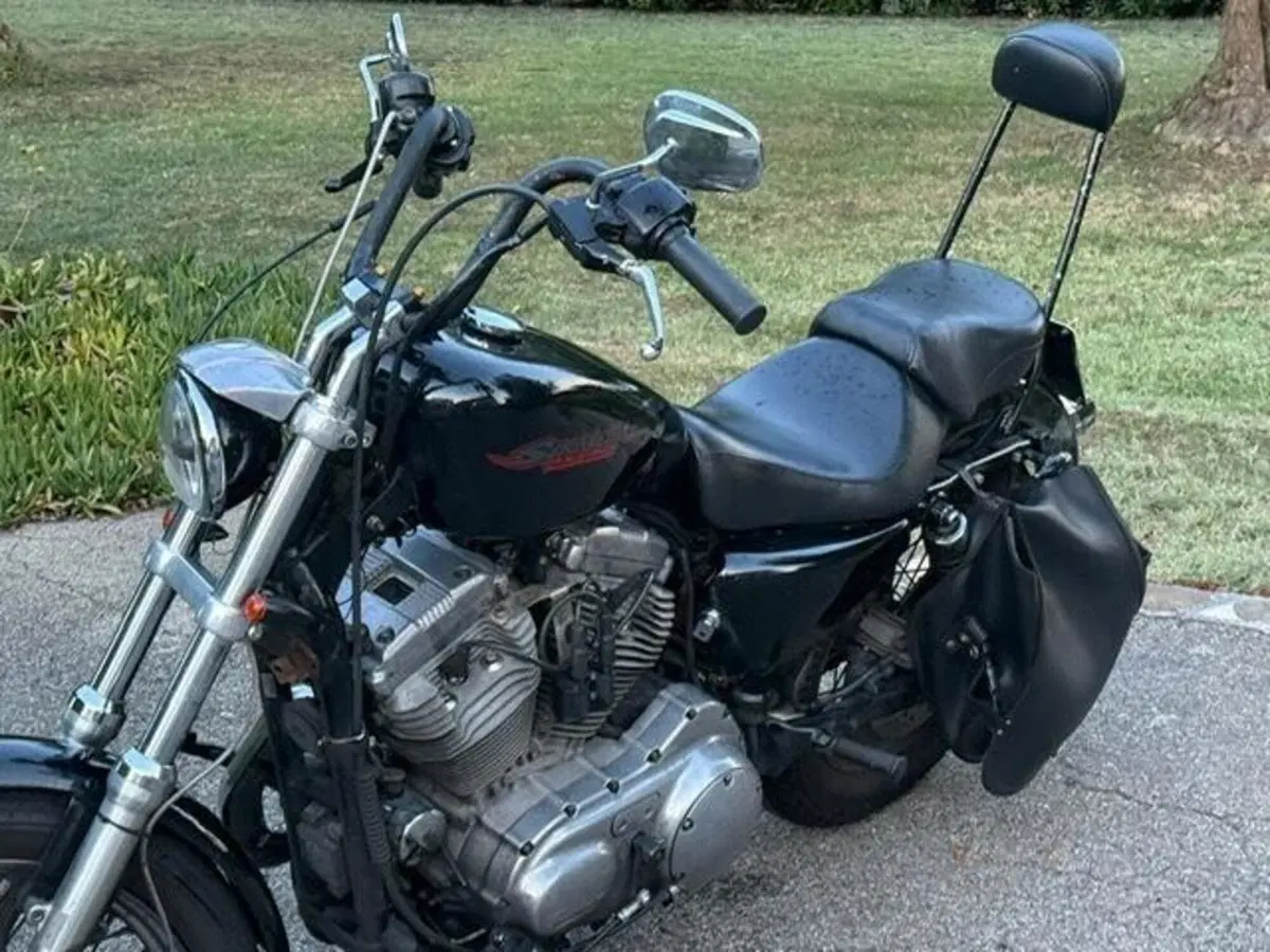 Harley-Davidson 883 (2008 - 09) - XL (5)