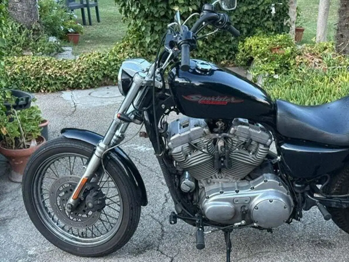 Harley-Davidson 883 (2008 - 09) - XL (6)