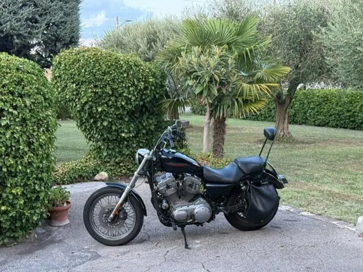 Harley-Davidson 883 (2008 - 09) - XL (7)