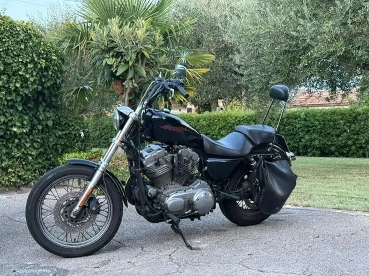 Harley-Davidson 883 (2008 - 09) - XL (8)