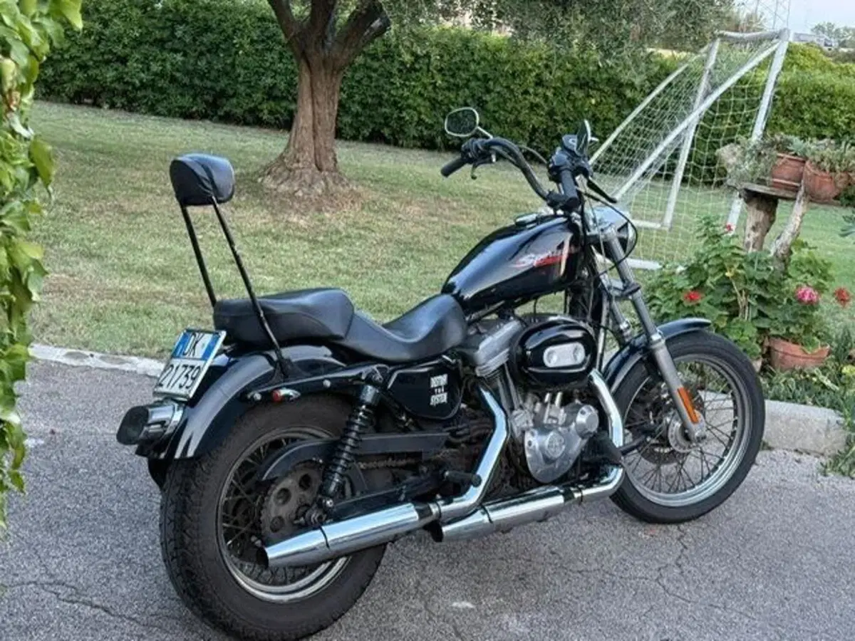 Harley-Davidson 883 (2008 - 09) - XL (9)