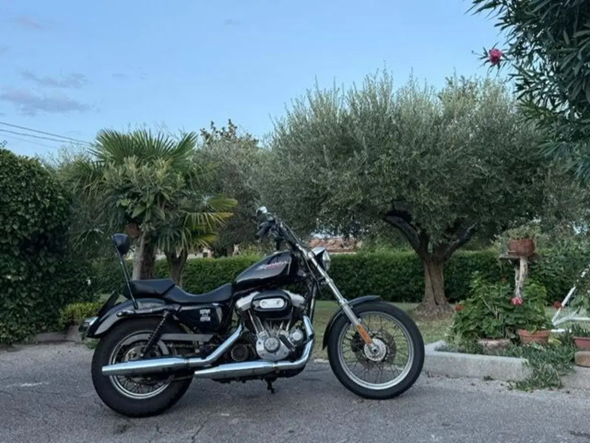 Harley-Davidson 883 (2008 - 09) - XL (10)